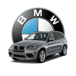 Plug Play Remote Start for 2007 2013 BMW X5